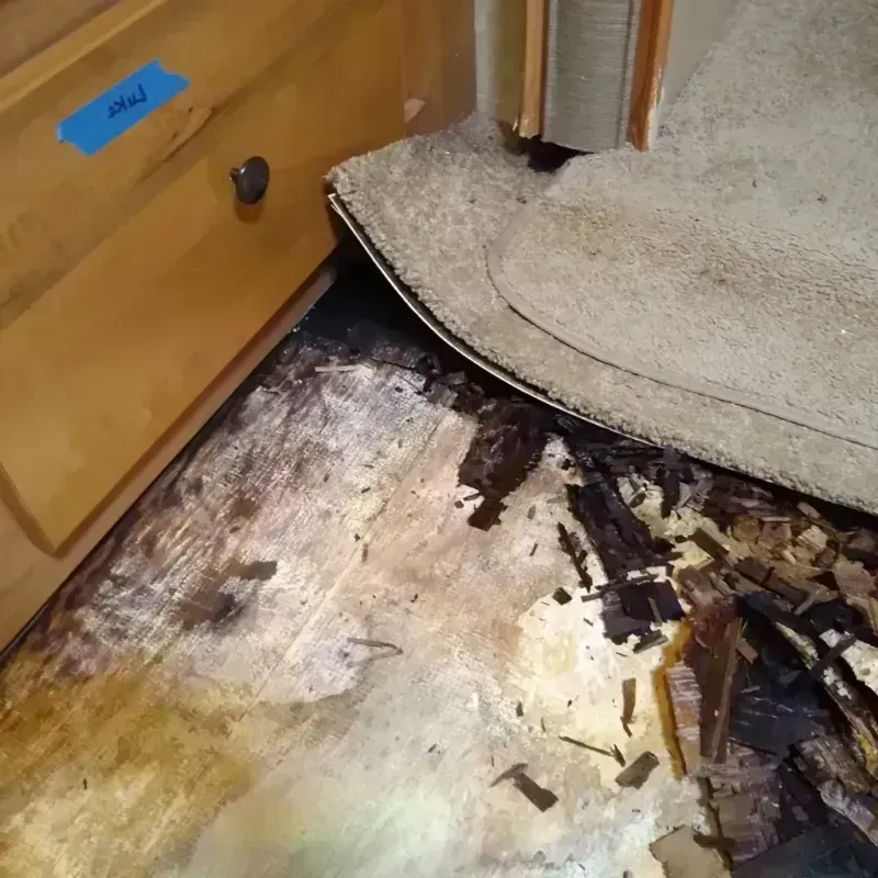 Wood Floor Water Damage in Alcona County, MI